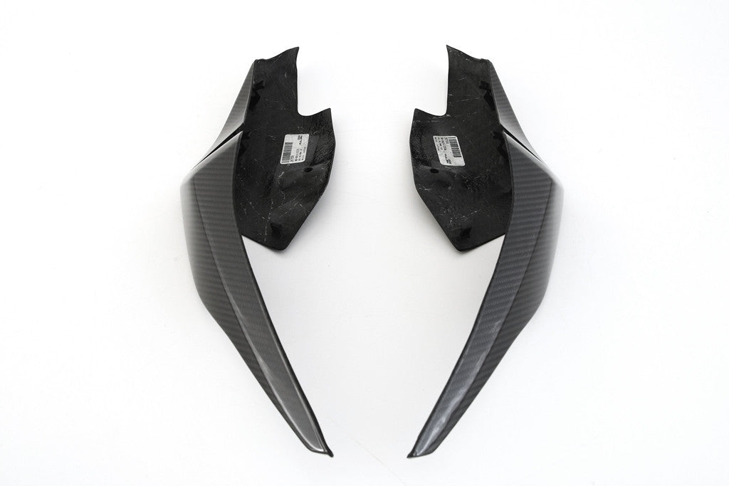 Heckzijde onderdelen Set (links + rechts) Carbon Fullsix BMW S1000RR K67 (19-22) 