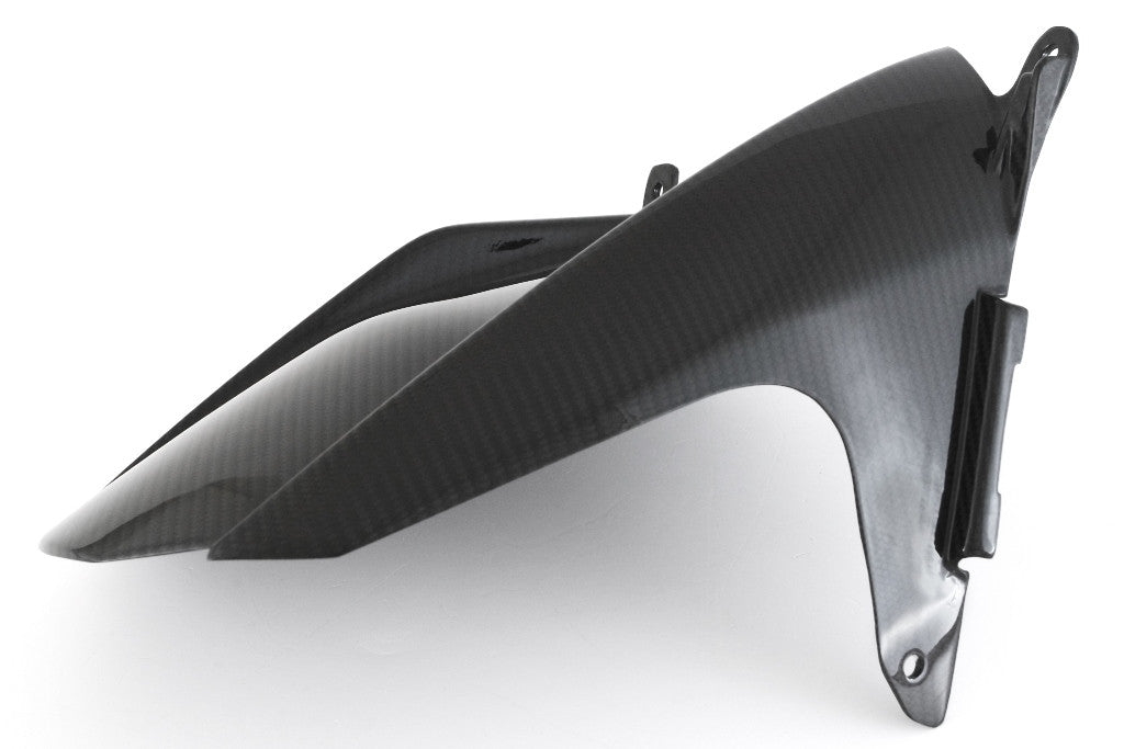 Achterspatbord Carbon Fullsix BMW S1000RR K67 (19-25) 