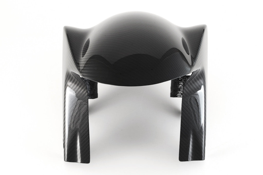 Voorkant spatbord Carbon Fullsix Aprilia RSV4/1100 Factory/R/RR/RF (09-20) 