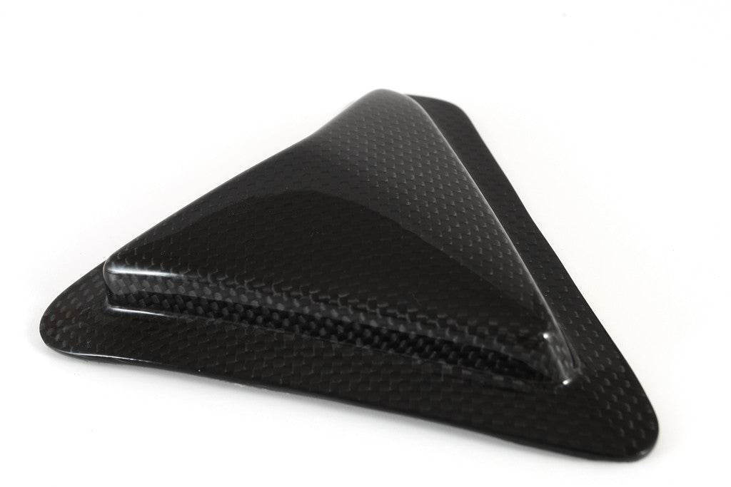 Slider Schwingbescherming Carbon Fullsix Ducati Panigale 1299/S (15-18) 